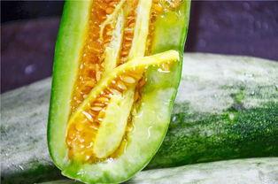 所有吃瓜网红是谁啊,盘点那些年我们一起吃瓜的网红们  第3张